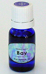 bay1_oil.jpg